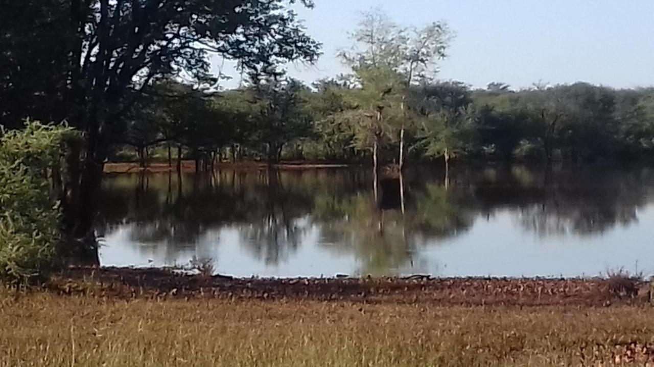 Onduri Lodge Outjo Esterno foto